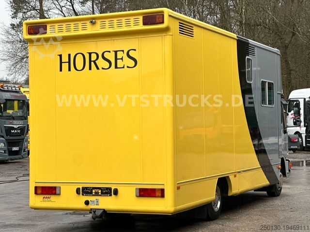 Cattle truck MAN Niehoff Pferdeaufbau mit Wohnabteil