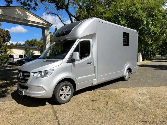 Xe tải nhẹ Mercedes-Benz Sprinter 319 STX 1-2 Pferde Hengsttrennung