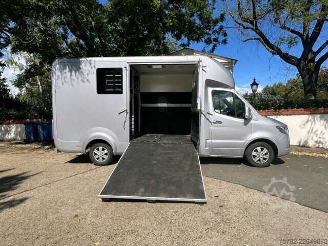Xe tải nhẹ Mercedes-Benz Sprinter 319 STX 1-2 Pferde Hengsttrennung