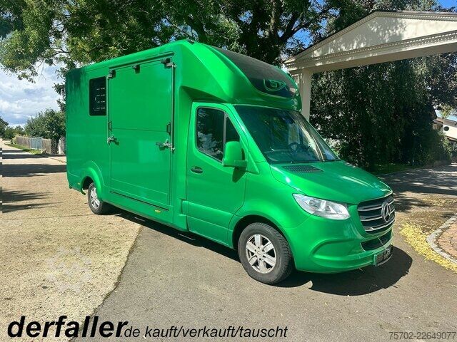 Xe tải nhẹ Mercedes-Benz Sprinter 319 STX 1-2 Pferde Hengsttrennung