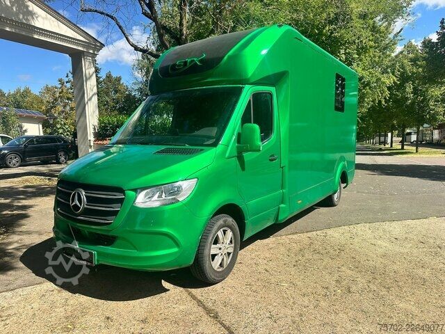 Xe tải nhẹ Mercedes-Benz Sprinter 319 STX 1-2 Pferde Hengsttrennung