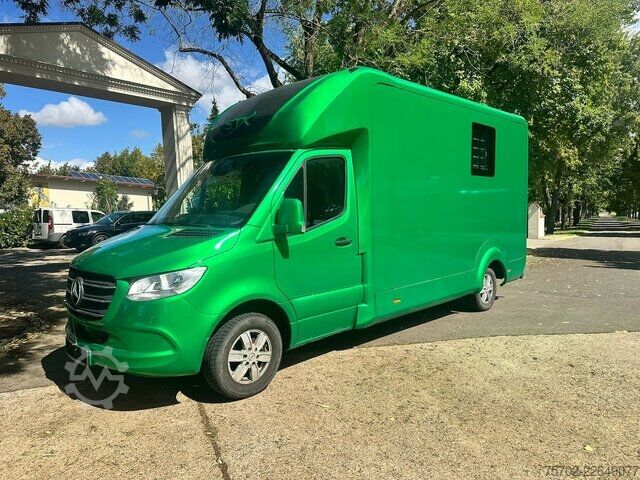 Xe tải nhẹ Mercedes-Benz Sprinter 319 STX 1-2 Pferde Hengsttrennung
