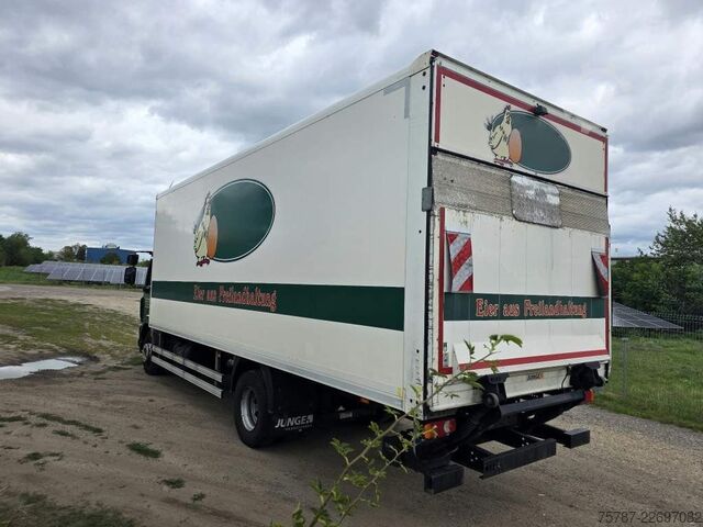Box truck DAF LF 260 Koffer 14 Tonner, LK,BW, Rückfahrkamera