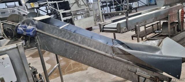 Línea completa de pelado de cebollas M&P Engineering MP 16584