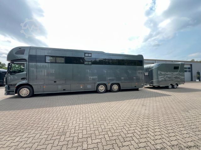 Camião para gado MERCEDES-BENZ Actros 2640 STX Pop-Out, 6 Pferde mit 3 Pferdean
