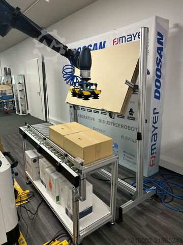 工业机器人 FJM Palettierer HYDRA cobot palletizer