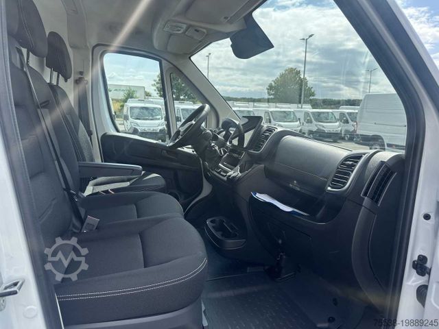 Panel van Fiat Ducato