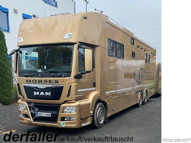 Nautgripabíll MAN TGS 26480 5 Pferde und Wohnung