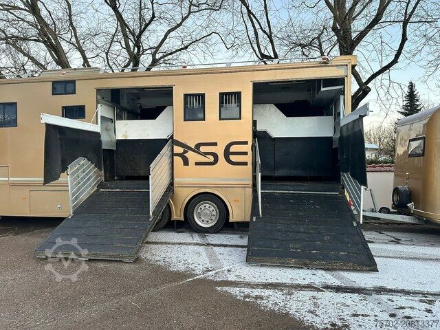 Nautgripabíll MAN TGS 26480 5 Pferde und Wohnung