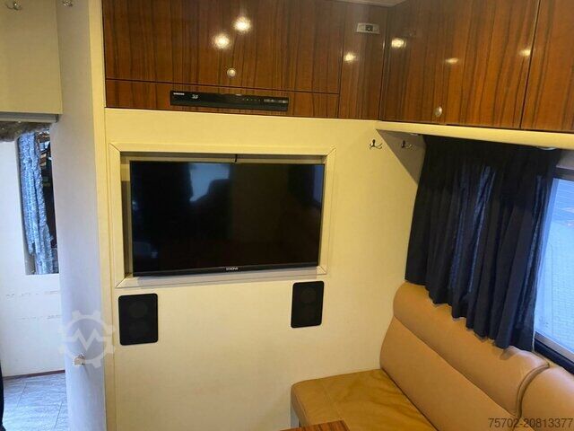 Nautgripabíll MAN TGS 26480 5 Pferde und Wohnung