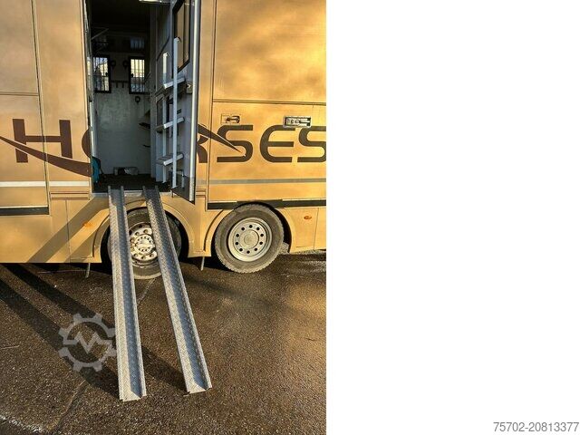 Cattle truck MAN TGS 26480 5 Pferde und Wohnung