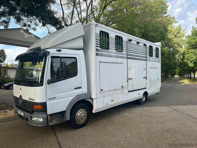 ভ্যান Mercedes-Benz 817 2-4 Pferde