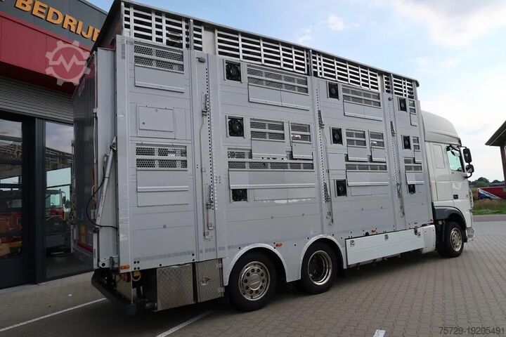 Cattle transport DAF XF 510 Super Space Cab
