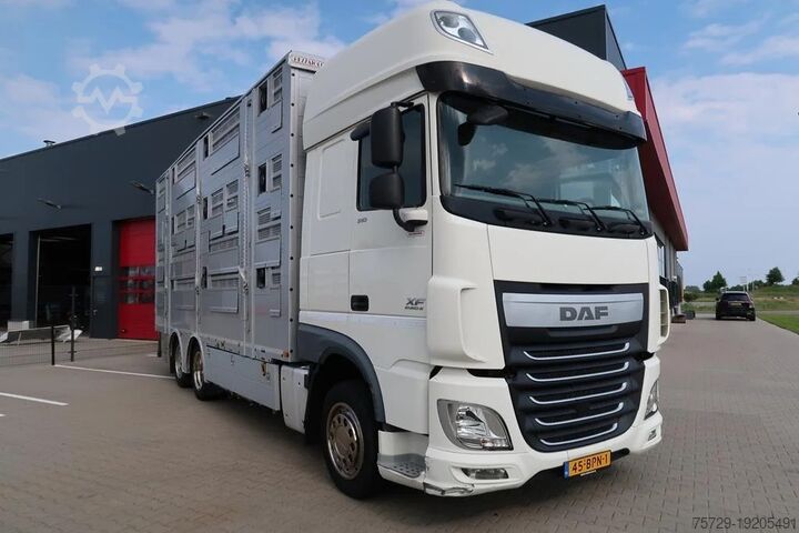 Cattle transport DAF XF 510 Super Space Cab
