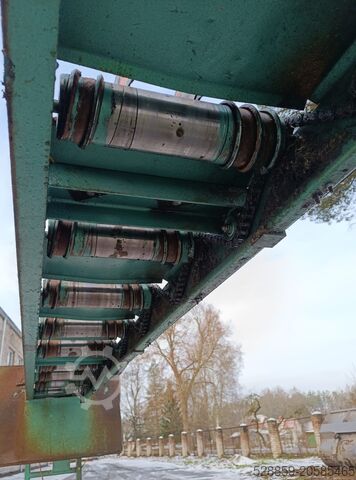 Edger saw with output conveyor