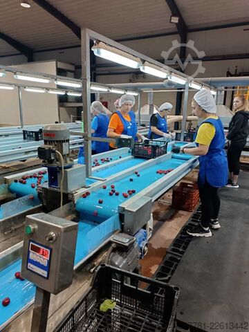 Máy phân loại quả anh đào GP Graders Victoria 2008