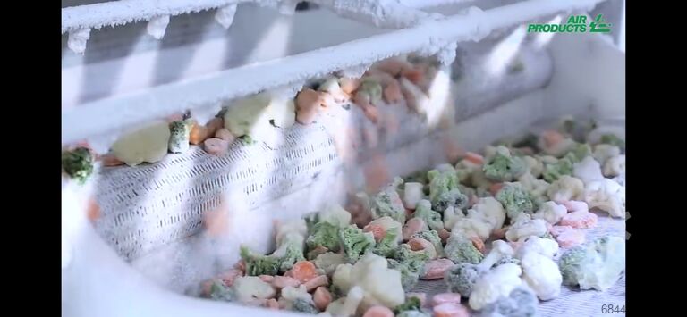 IQF Freezer - nitrogen tunnel Air Products IQF Freezer Stikstofvriezer – Freshline