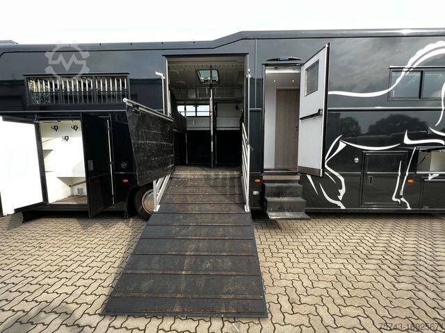 Boskapsbil MERCEDES-BENZ ANTOS  S  2640 AKX . POP-OUT 6 Pferde