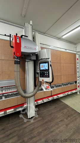 Plattensäge stehend Striebig CONTROL 6224