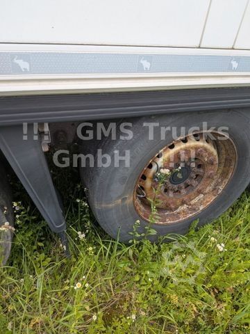 Semirremolque frigorífico SCHMITZ CARGOBULL Frigo Thermo King / Multi Temp / DS