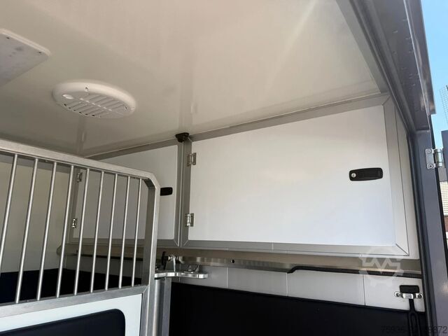 การขนส่งม้า Renault Master STX S3 Paardenwagen Hengsten uitvoering ...