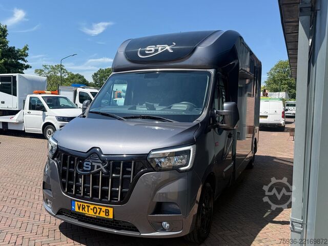 การขนส่งม้า Renault Master STX S3 Paardenwagen Hengsten uitvoering ...