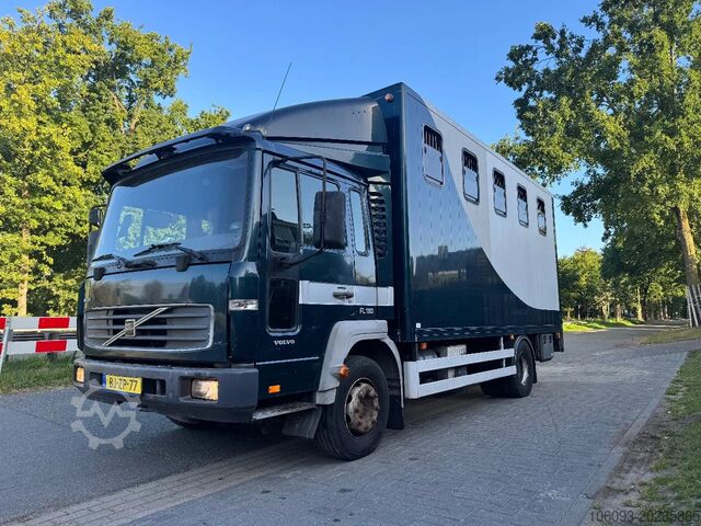 Transportul cailor Volvo Horsetruck  APK 8-2026