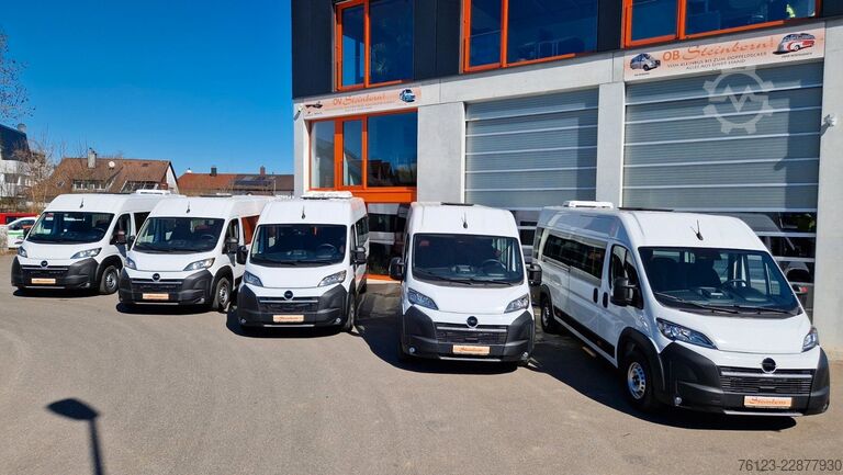 小型客车 FIAT Opel Movano 18 SS  in Stock Fiat Ducato