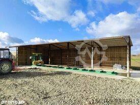 Serração de fita Crisswood SAM MK 2006