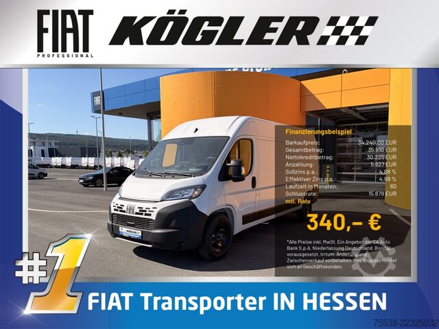 Kastenwagen hoch Fiat Ducato