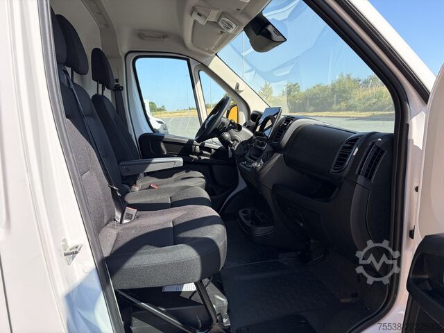Kastenwagen hoch Fiat Ducato