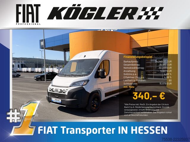 Kastenwagen hoch Fiat Ducato