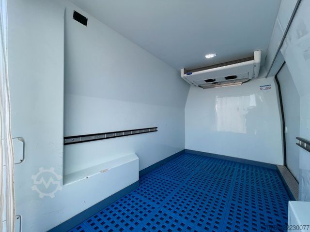 Külmutusveokitega kaubik RENAULT Master Tiefühl-KA/ Carrier/ Standkühlung./ AC