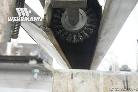  HEESEMANN, BüRKLE 