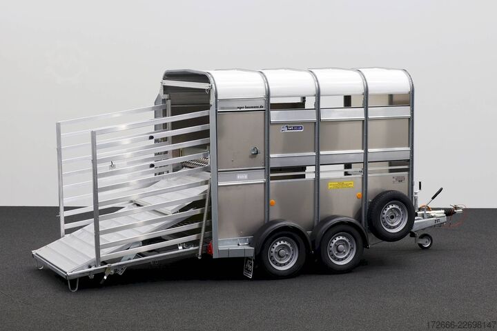 Trailer ternak Ifor Williams TA5 | 8x6 | DOPPELSTOCK 241X156X183CM VIEHANHÄNGER | 2X LÜFTUNG