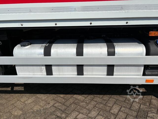 Maleta Renault Premium + DHOLLANDIA LOADLIFT + SMART TACHO + E...