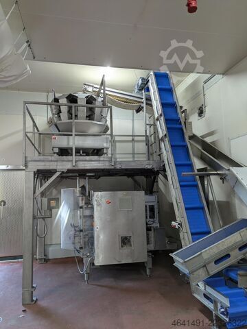 多头称重机与袋装包装机 Multi Weigh, Delta Pack MKW: HDW10 3,5 Schlauchbeutel: DE420 FU