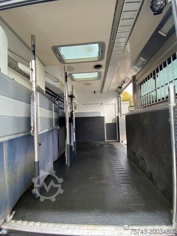 Viehtransporter LKW MAN 18-2900  5 Pferde Pop-Out  NUR 18.800KM