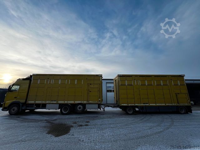 Viehtransporter LKW VOLVO FH 420  Viehtransporter