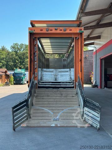 Semi-remorque pour bétail Finkl SAV35 4.Stock Hubdach Lift Tränke Tridec