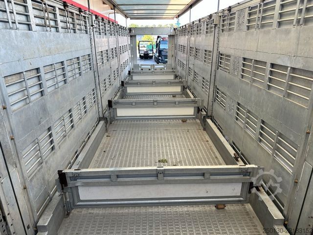 Semi-remorque pour bétail Finkl SAV35 4.Stock Hubdach Lift Tränke Tridec