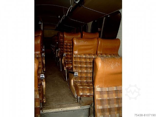 Treinador  Greyhound / Foodtruck