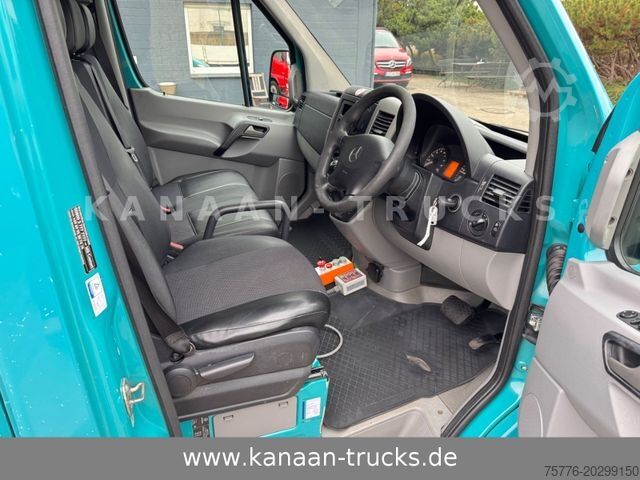 垃圾车 MERCEDES-BENZ 313 CDI Sprinter II Bertsche Müllwagen Tafel