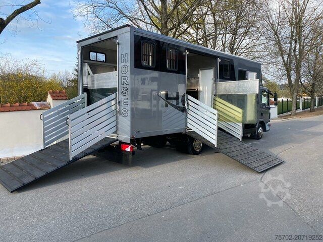 Cattle truck MAN TGL 8180 Gimmel 1-4 Pferde Wohnung