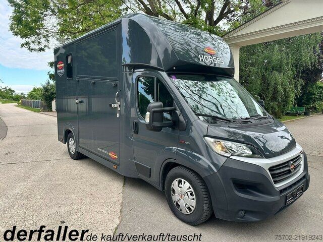 Kombijevsko vozilo Fiat Ducato Böckmann 1-2 Pferde Hengsttrennung