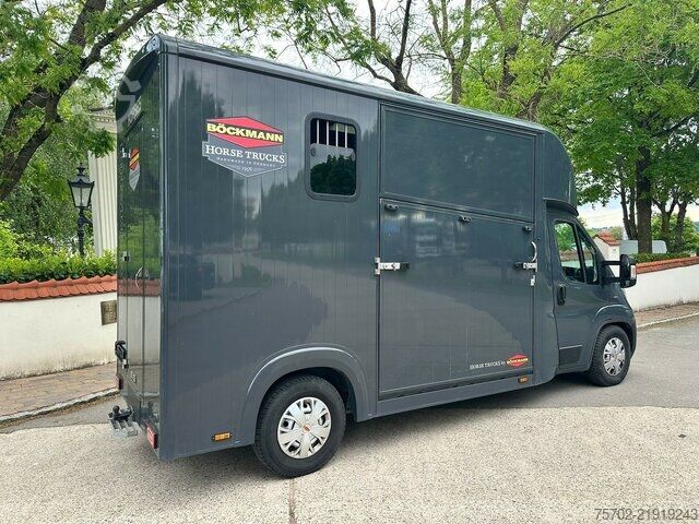 Kombijevsko vozilo Fiat Ducato Böckmann 1-2 Pferde Hengsttrennung