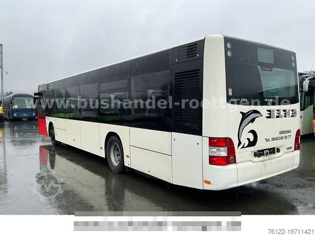 ښاري بس MAN A 37 Lion?s City/A 20/ A 21 Lion?s City/ O 530