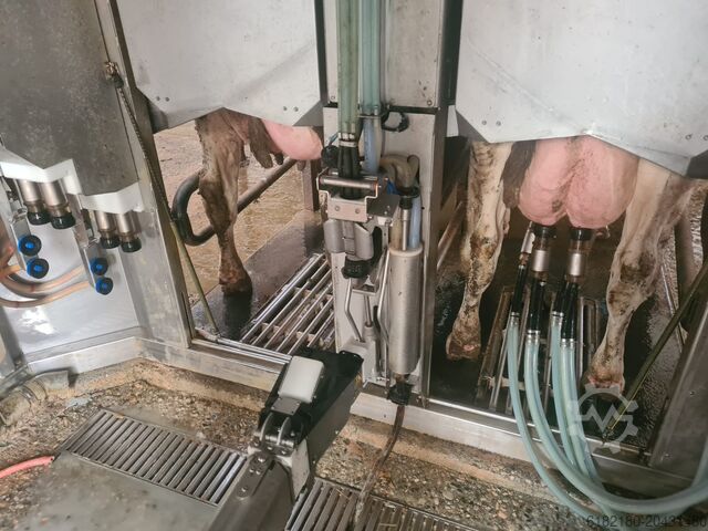 Sağım ekipmanları BOU MATIC MR DVOJNI GENOMI UP