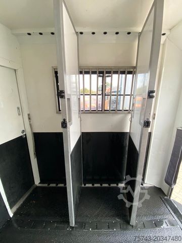 Prikolica za prijevoz konja  STX Trailer  3,5t   Wohn. Dusche