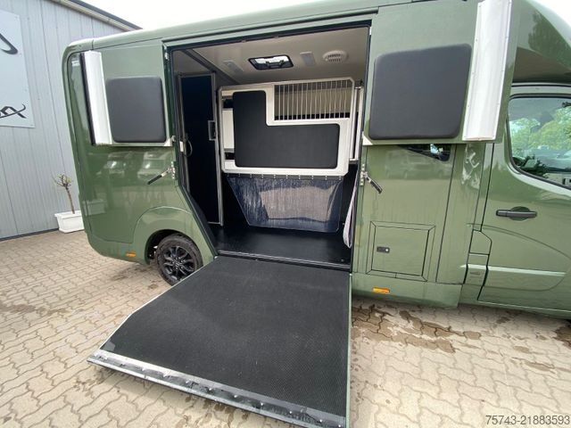 Phương tiện chở gia súc RENAULT Master STX 5 Sitzer Haras ex. Lang Automatik